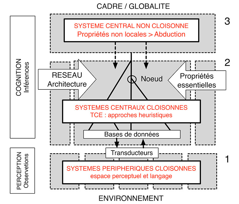 Fig. 1. Structure cognitive synthétique de l’activité globale du cerveau intégrant les données de Fodor de 1983 et 2000. Le niveau 2 des systèmes centraux cloisonnés correspond à la TCE sensu stricto. Schéma A. Gallay.