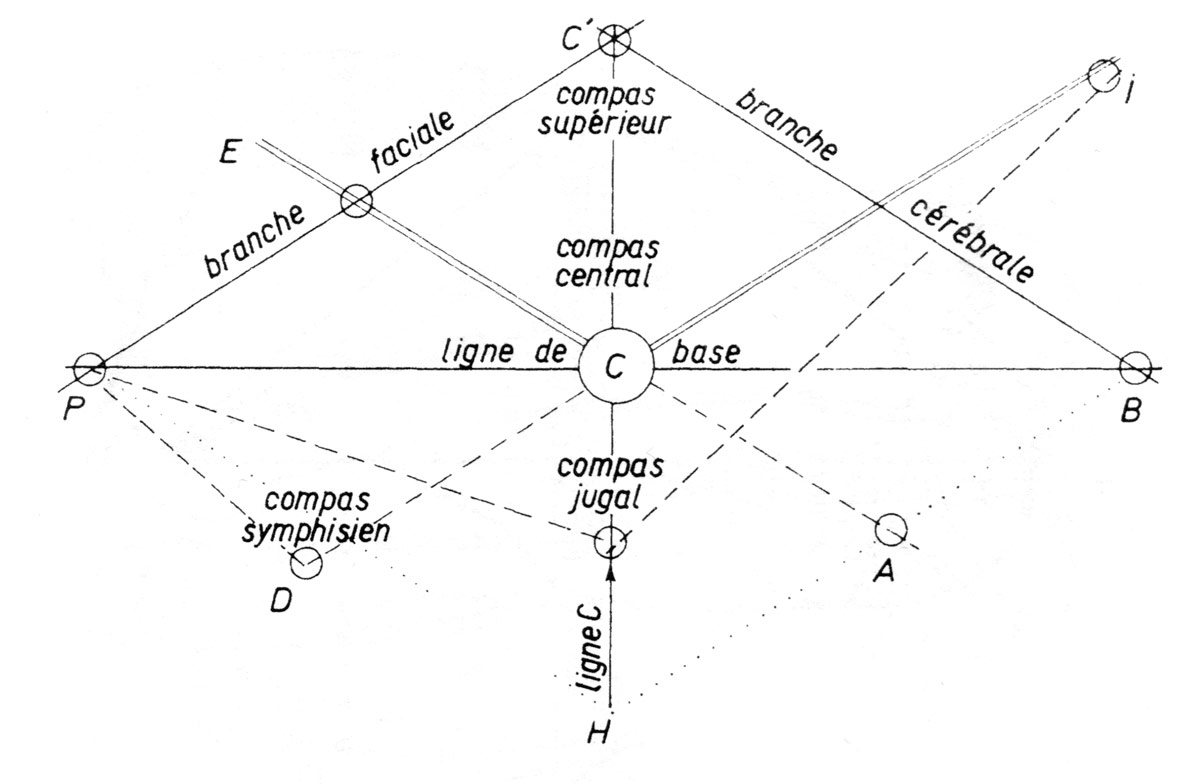Fig. 8. Nomenclature des lignes de construction. Elles sont figurées ici suivant la convention adoptée pour toutes les figures. Le tracé de suspension est un trait simple, le tracé de traction en tiret, le tracé d’appui en trait double. Le centre C, par commodité graphique, sera figuré par un cercle. (LG. Fig. 3).